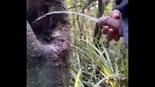 110 uncut porn videos